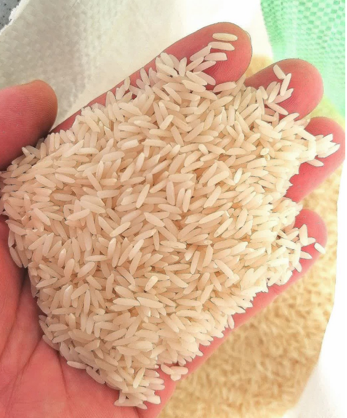 فروش عمده برنج هاشمي اعلا