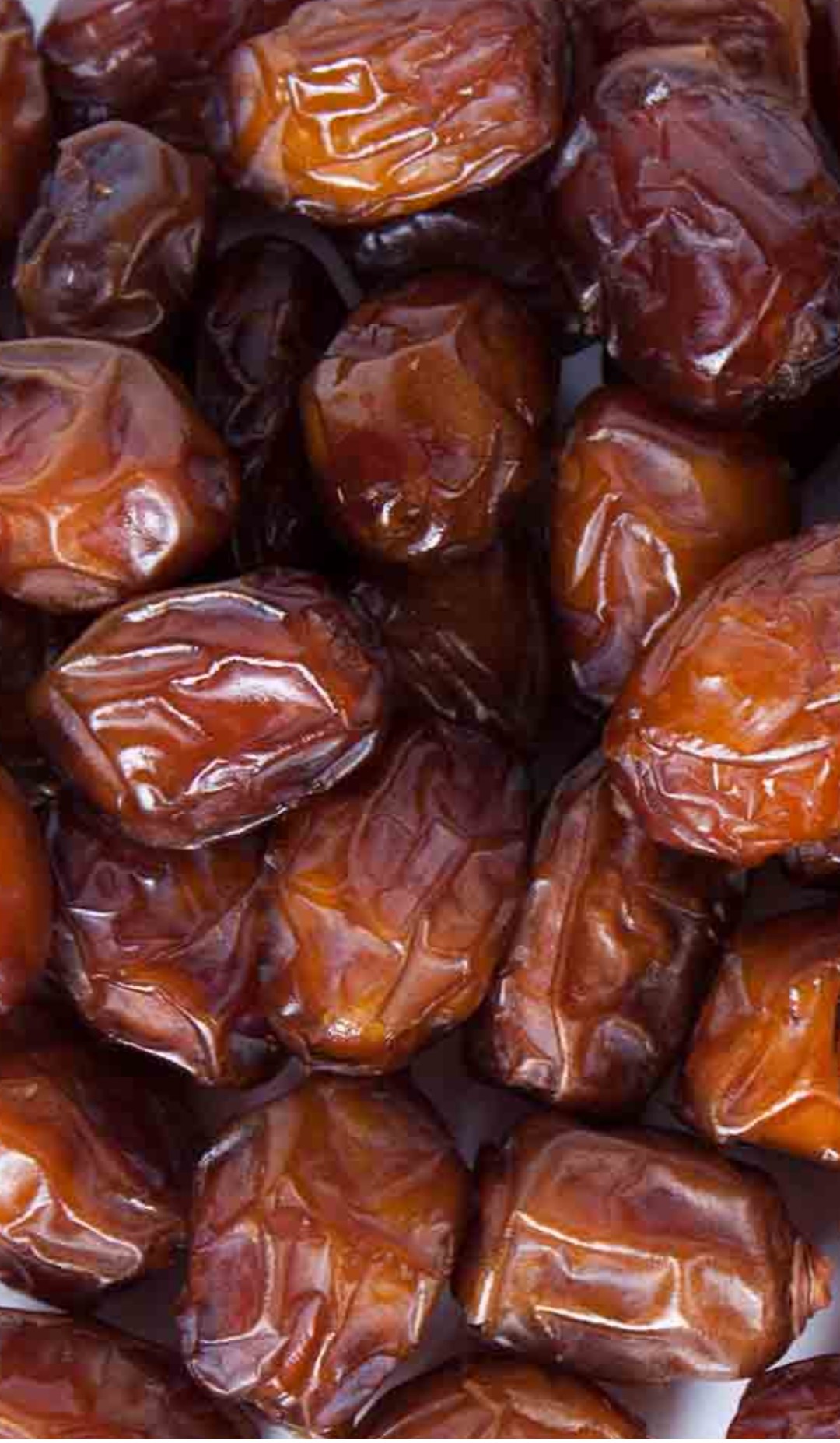 خرمای با کیفیت بندرعباس