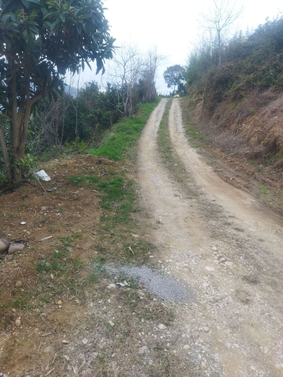 فروش زمین در مازندران رامسر 