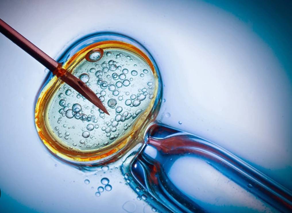 خدمات پزشکی