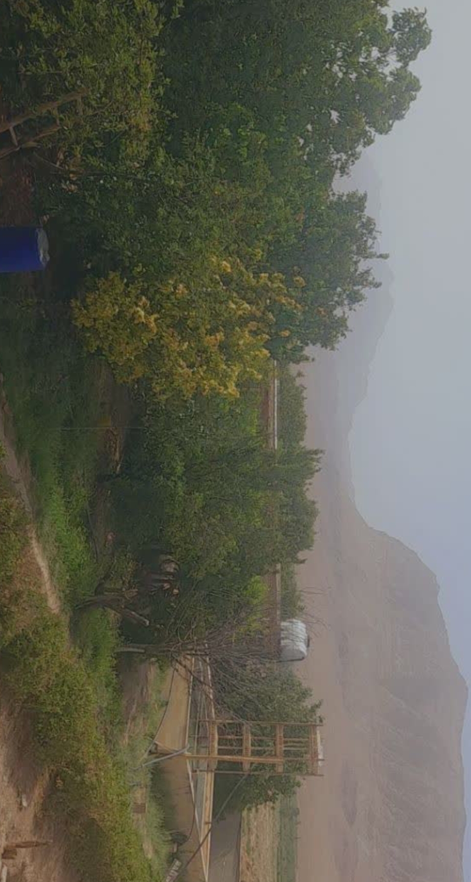 فروش کارخانه گلاب و عرقیجات 