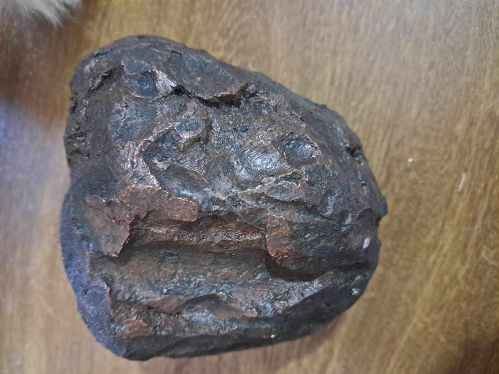 شهاب سنگ آهنی رنگ مسی