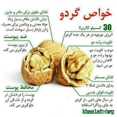 گردو