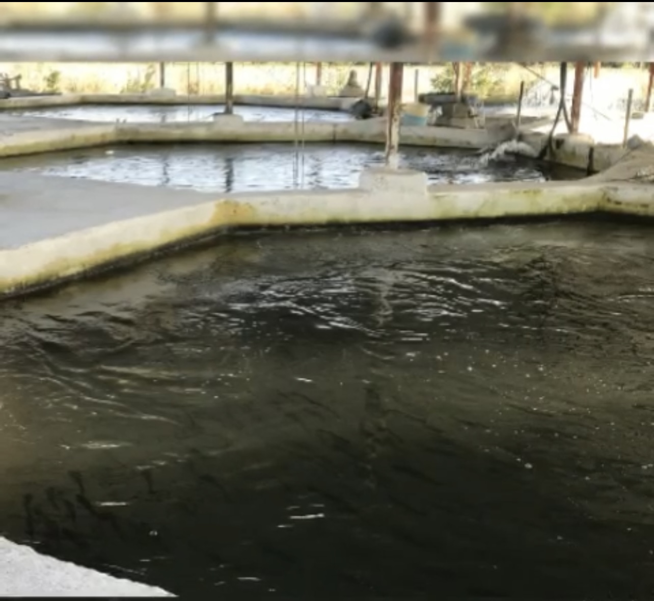 فروش مجتمع پرورش آبزیان