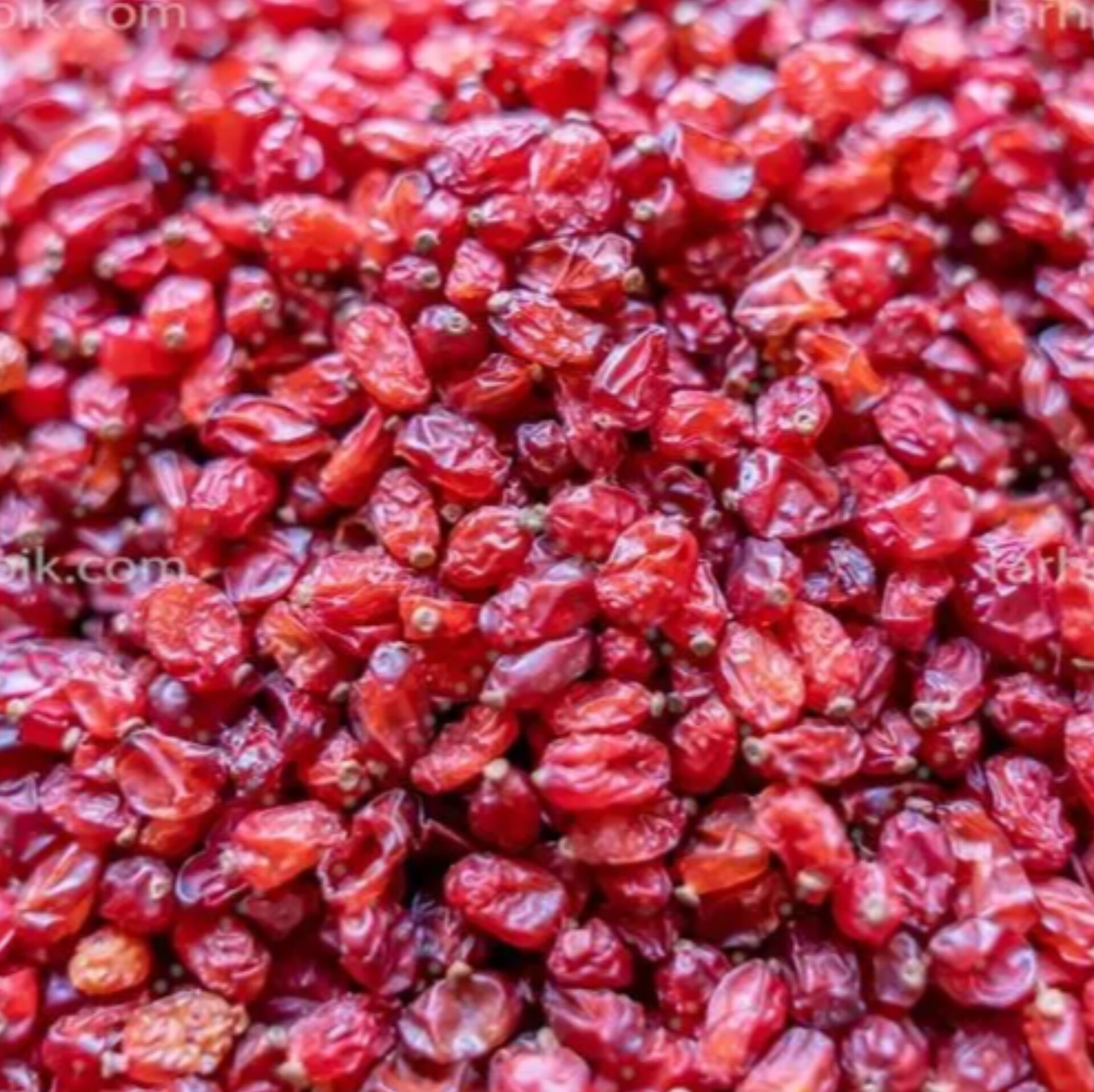 عرضه زرشک مرغوب ایرانی