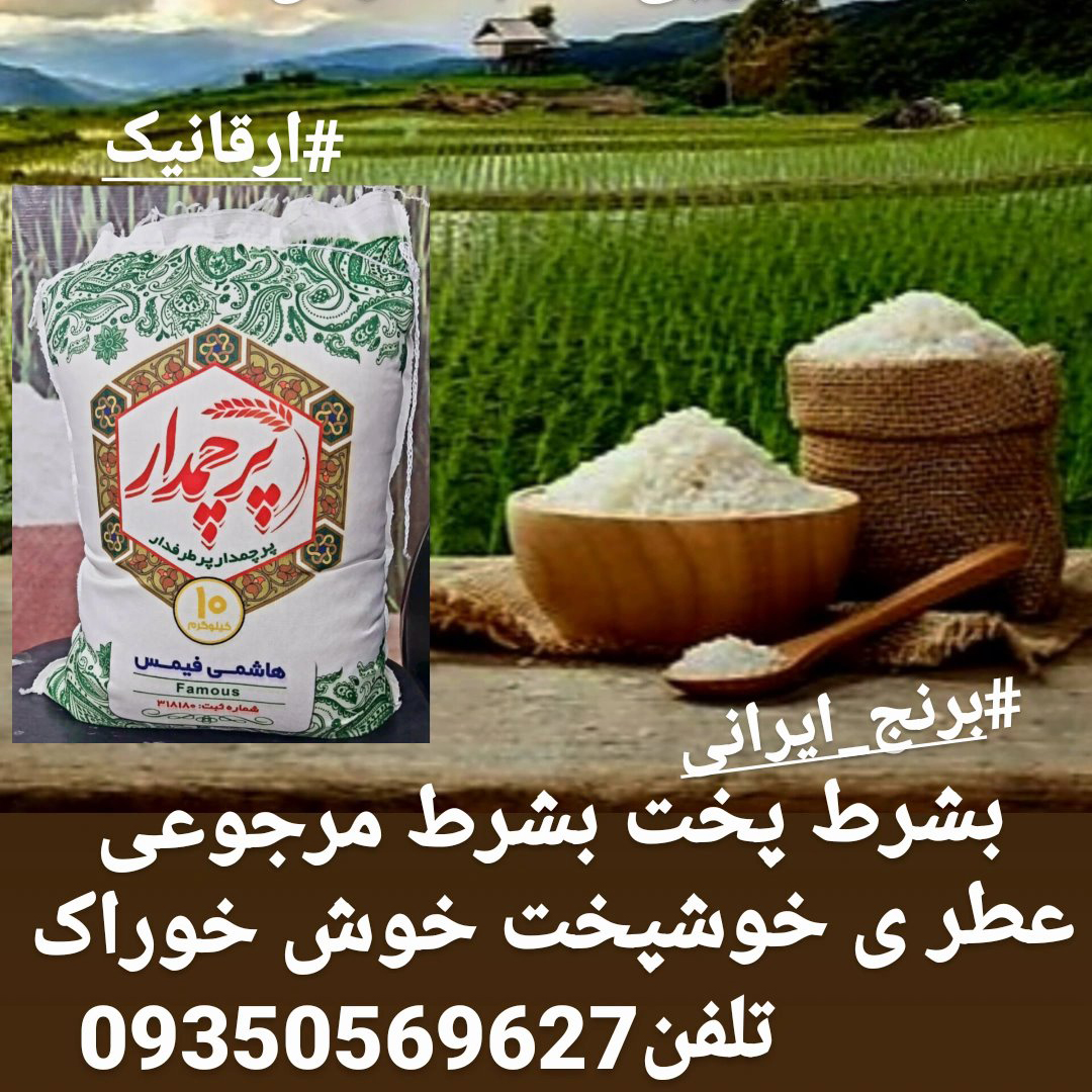 برنج درجه یک ایرانی هاشمی اصیل