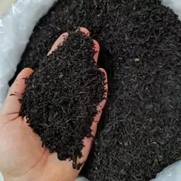 چای محلی لاهیجان 