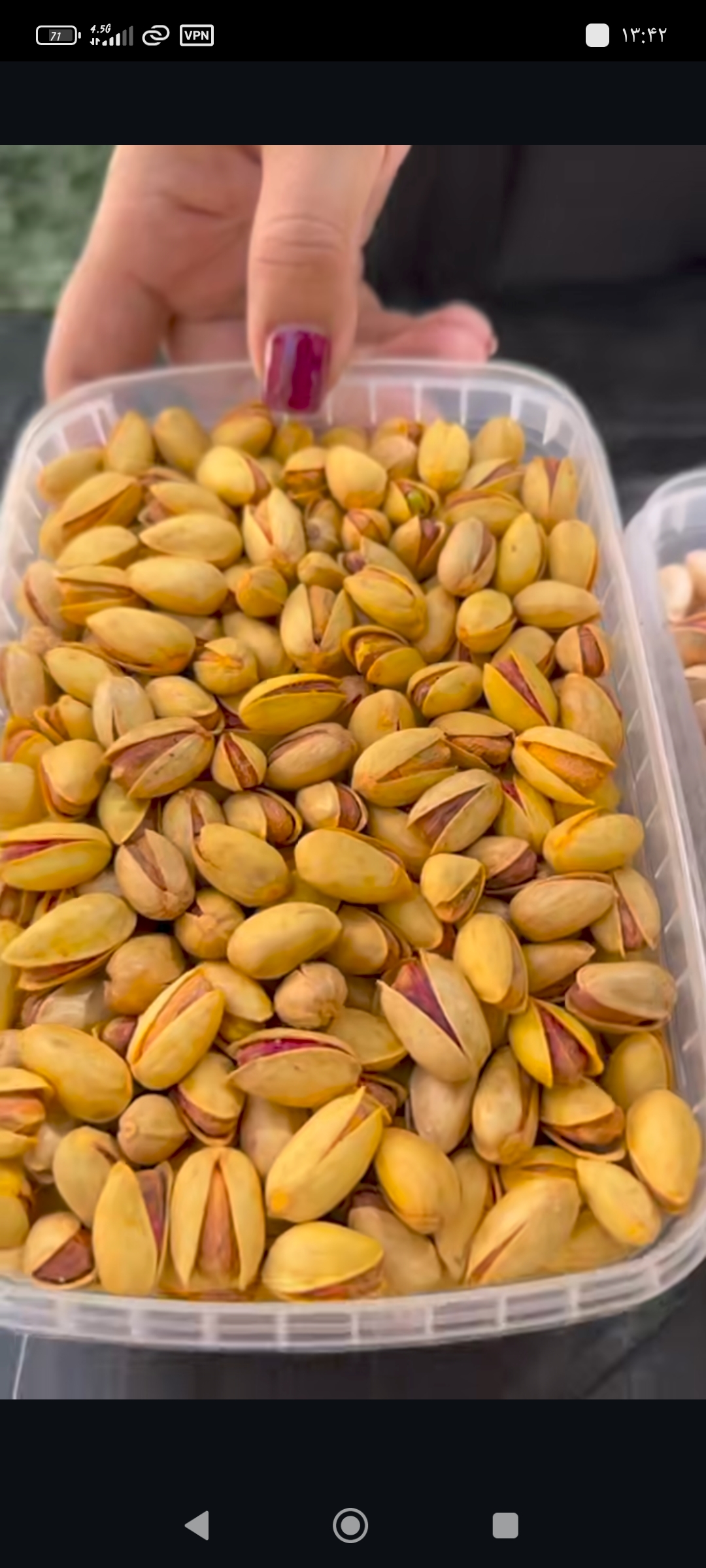 پسته مرغوب زعفرانی صادراتی 