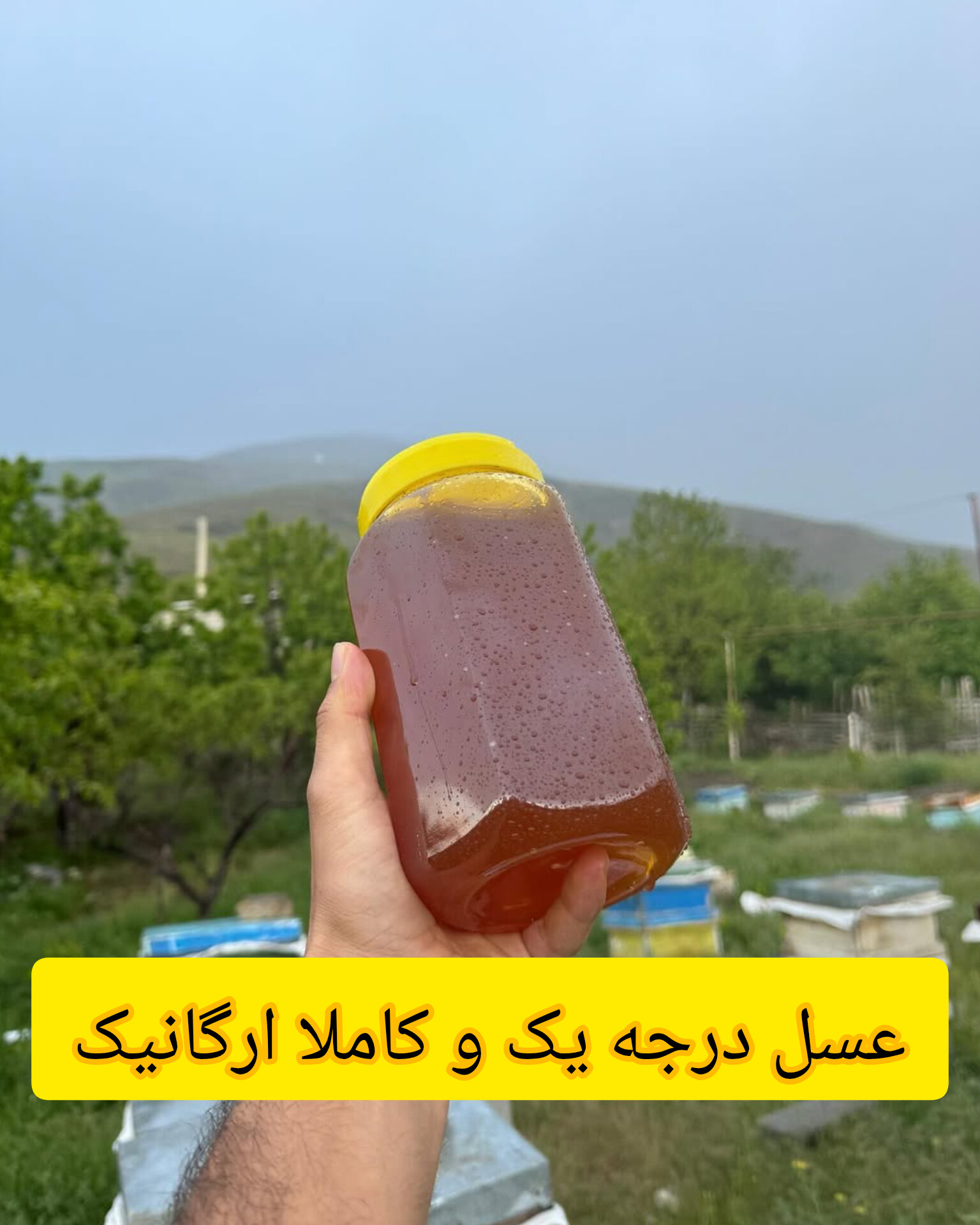 عسل ارگانیگ