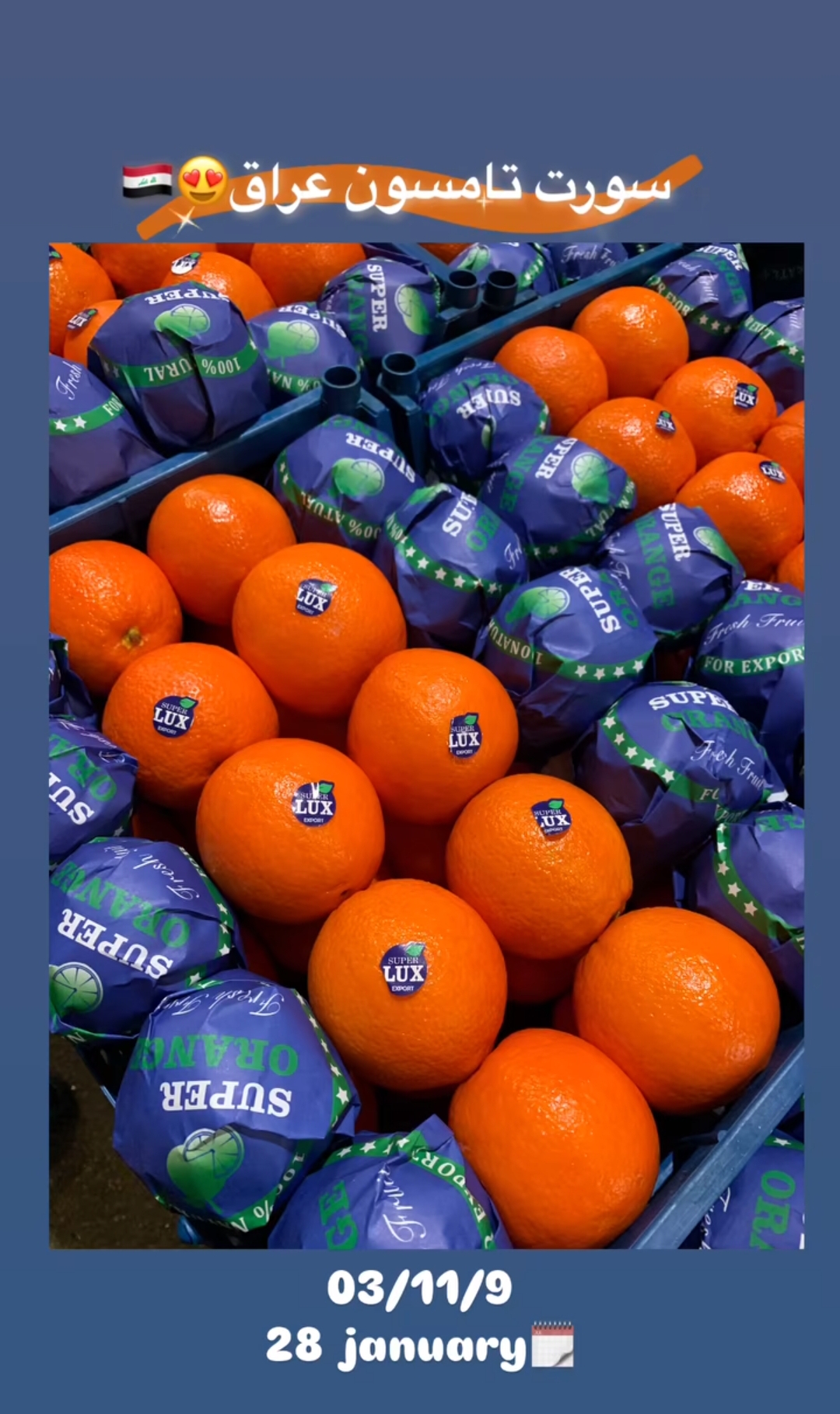 فروش انواع مرکبات پرتقال