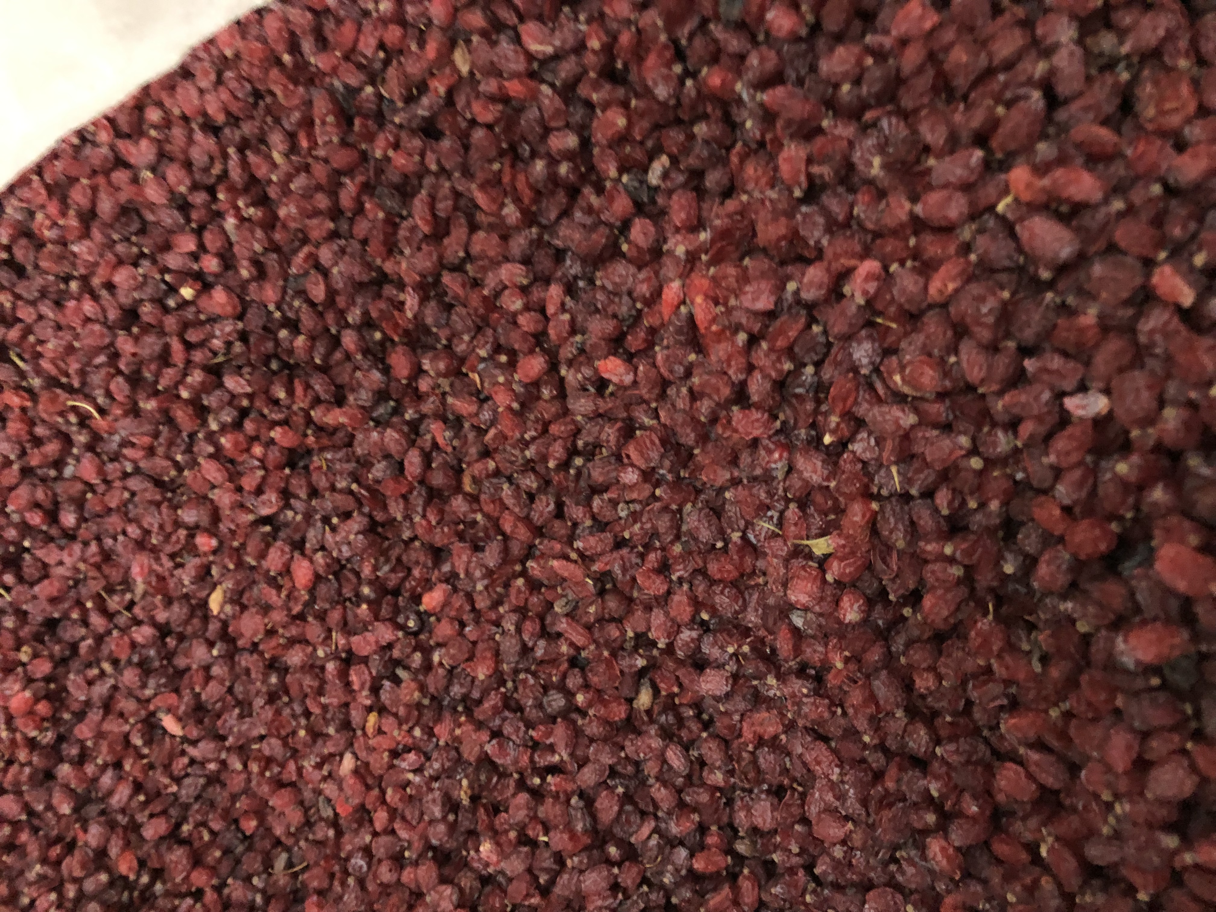  فروش کلی و جزئی زرشک