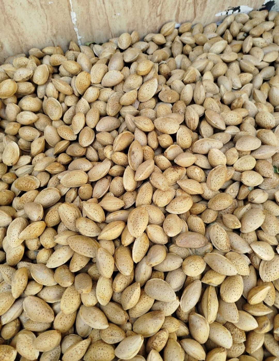 بادام و گردو درجه یک 