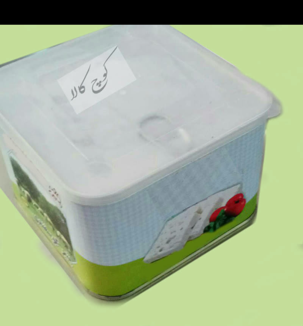 پنیر گاوی و گوسفندی طبیعی و ارگانیک