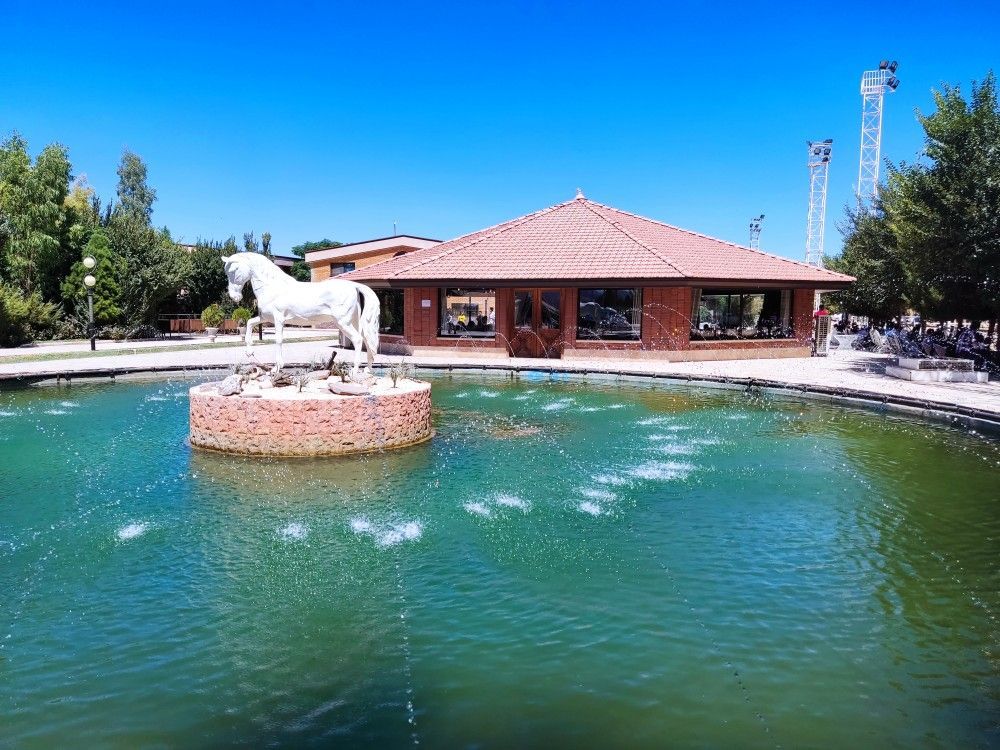 زمین استثنایی 