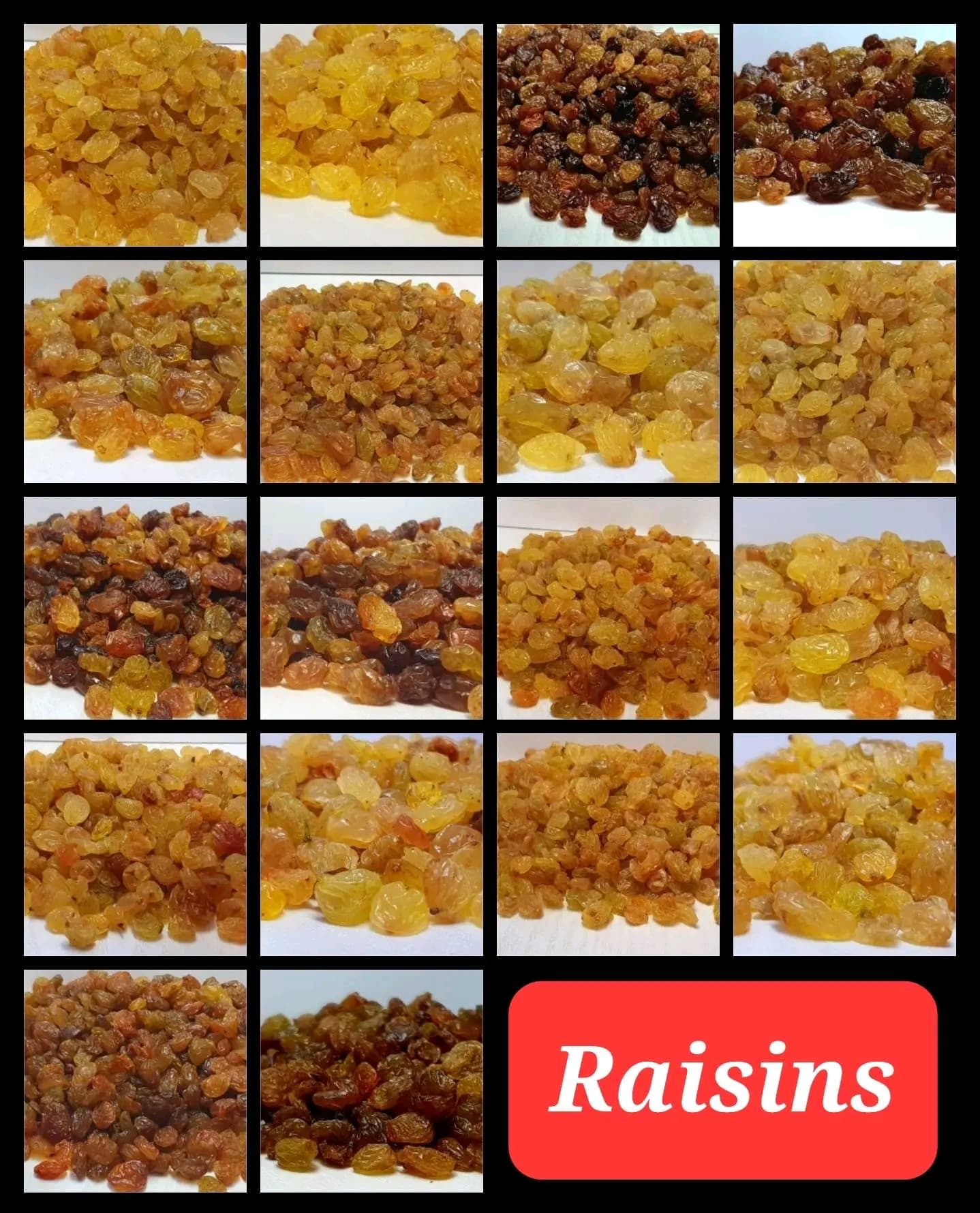 فروش عمده کشمش رب گوجه و ...