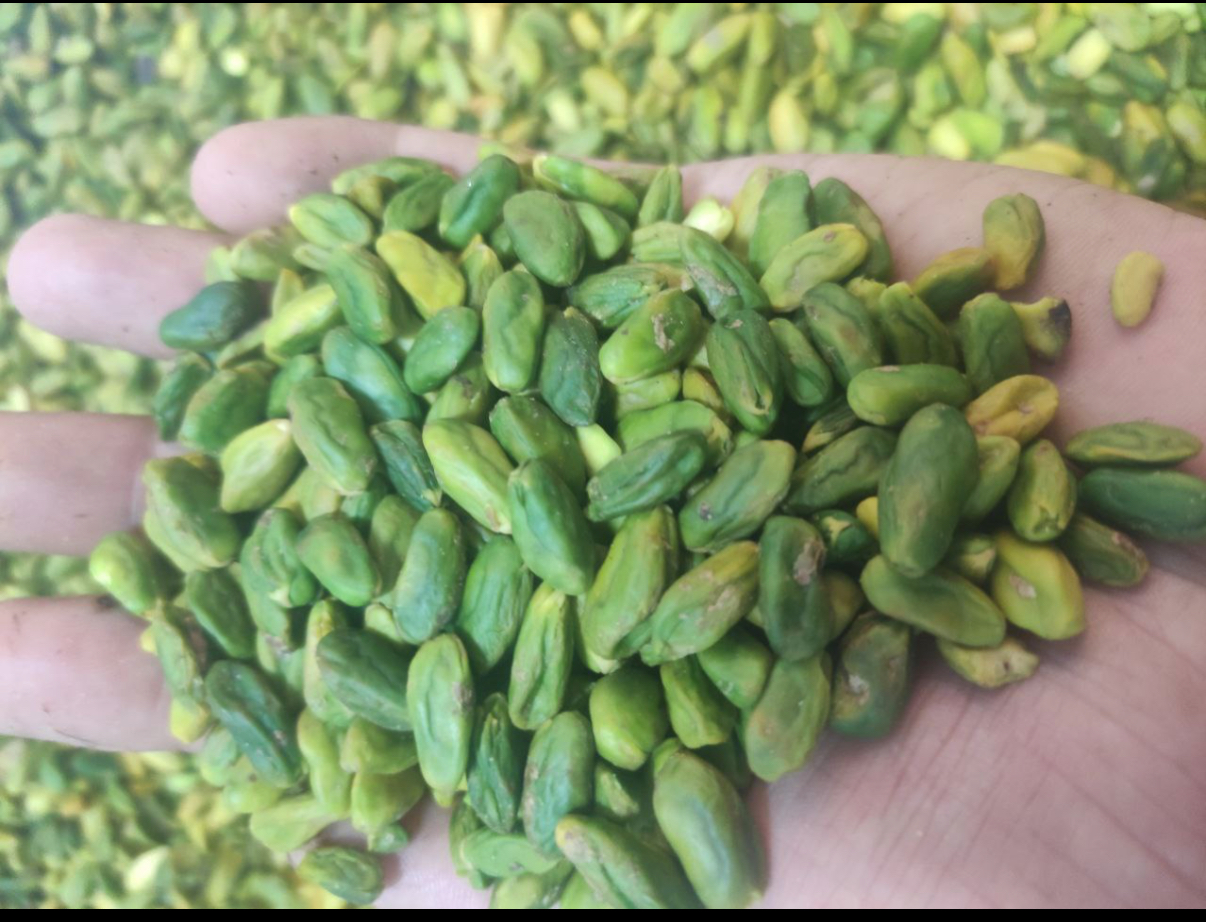 فروش پسته و مغز