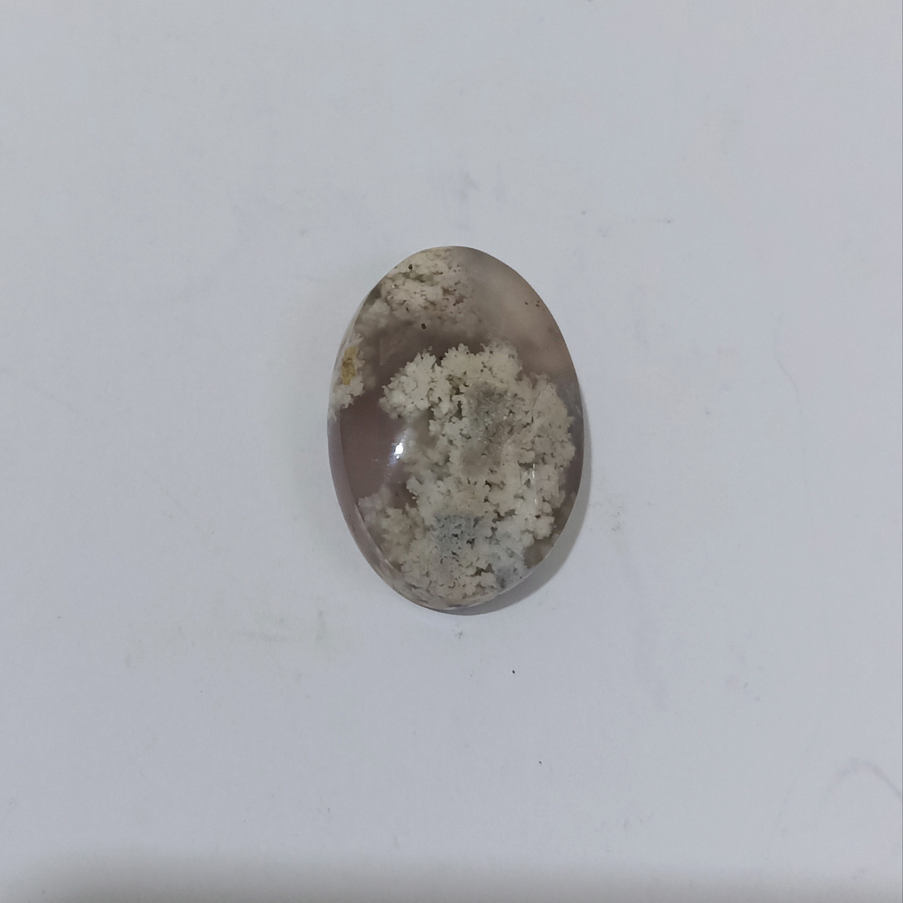 هدیه‌ای از دل طبیعت ایران 