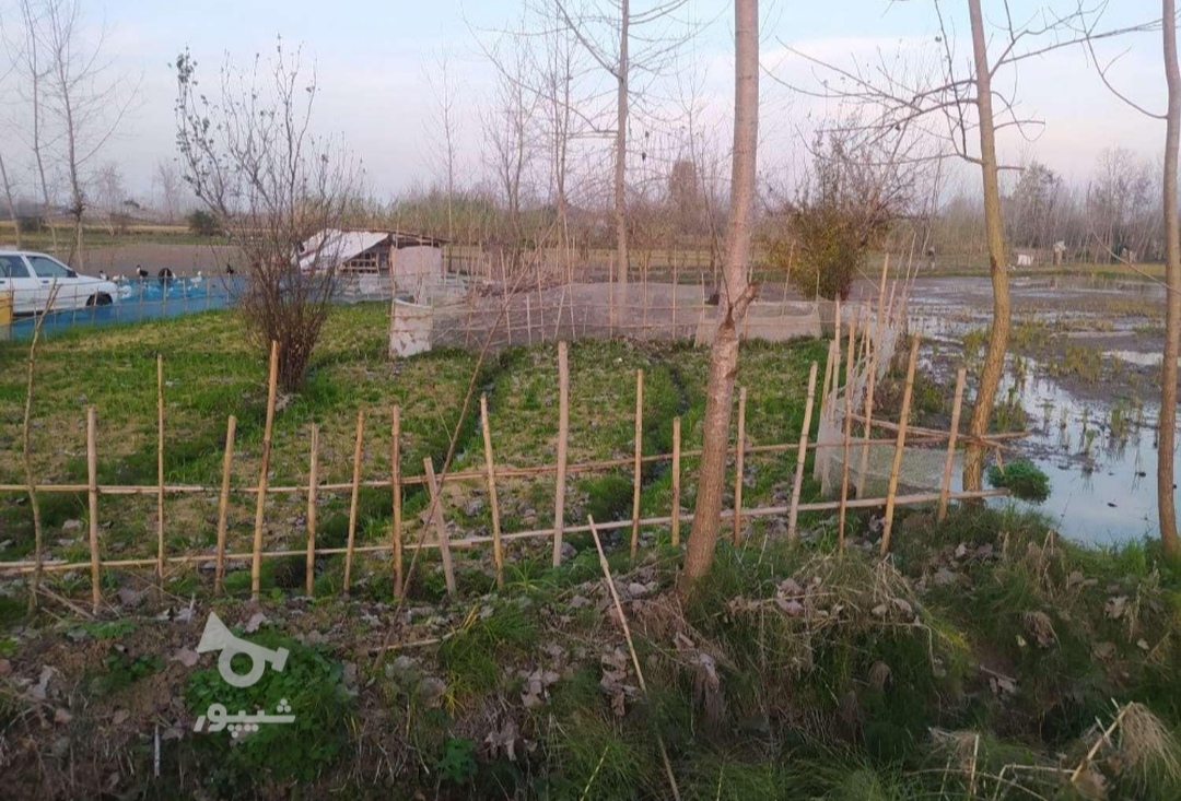فروش زمین فوری