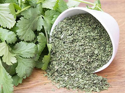 گشنیز خشک شده