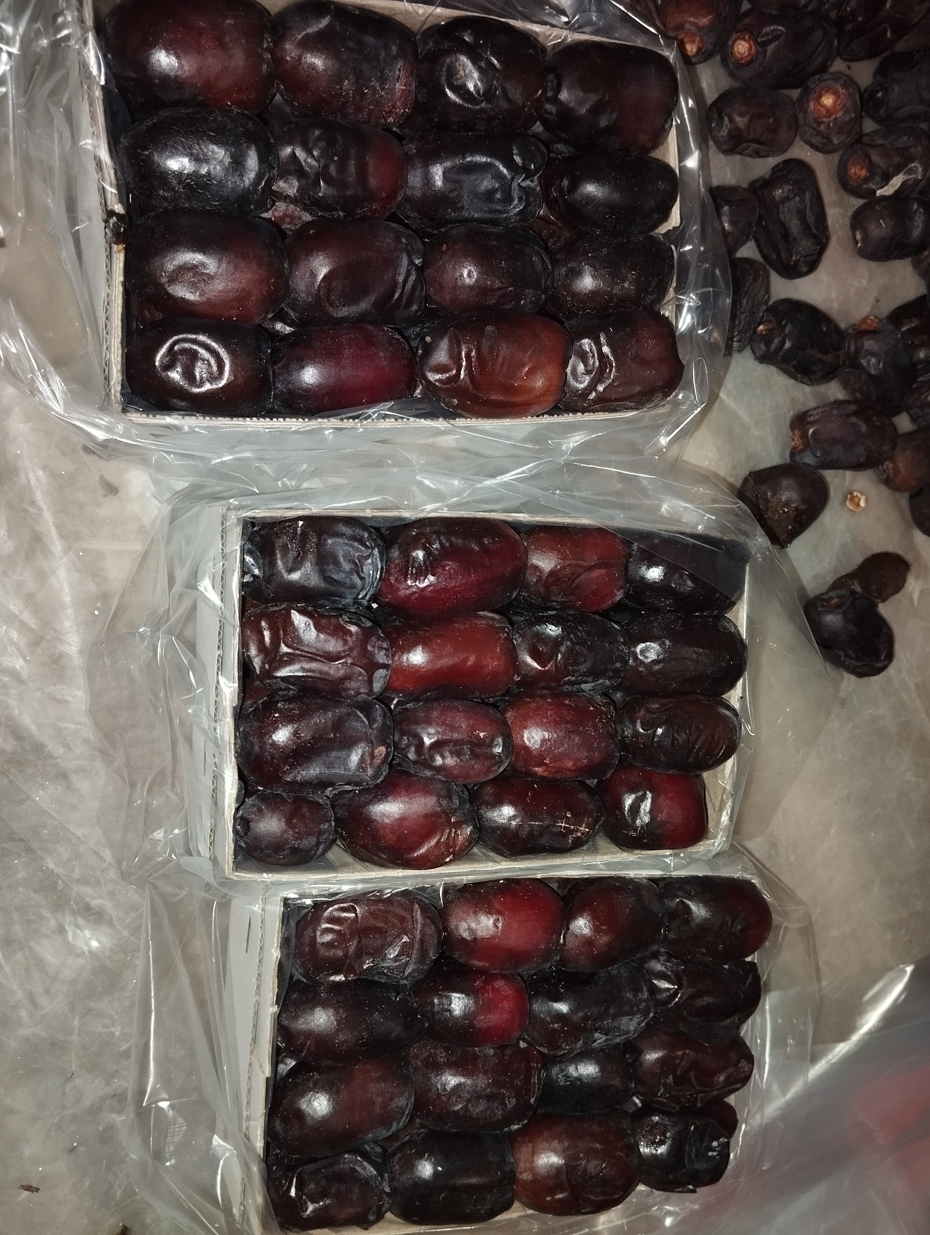 فروش خرما مضافتی بم 