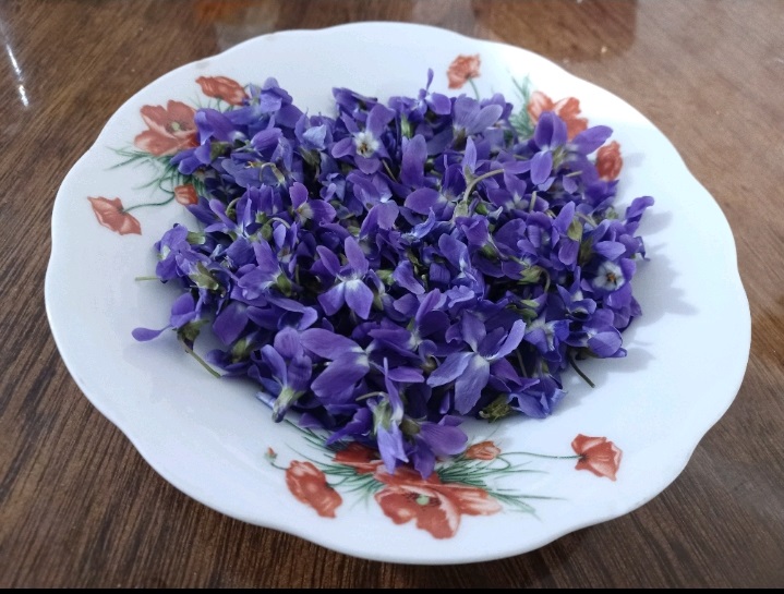 گل بنفشه و غنچه گل محمدی