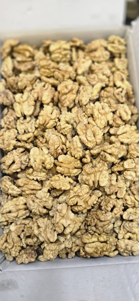 مغز گردو ایرانی