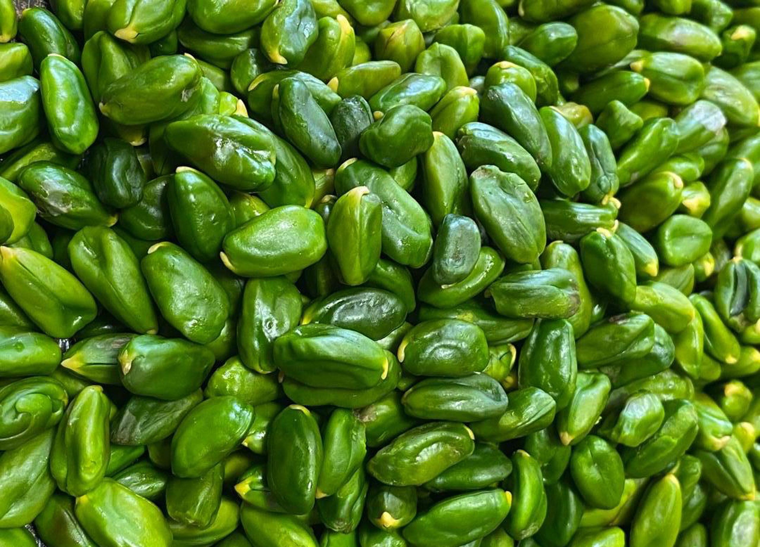 مغز پسته کال درجه یک