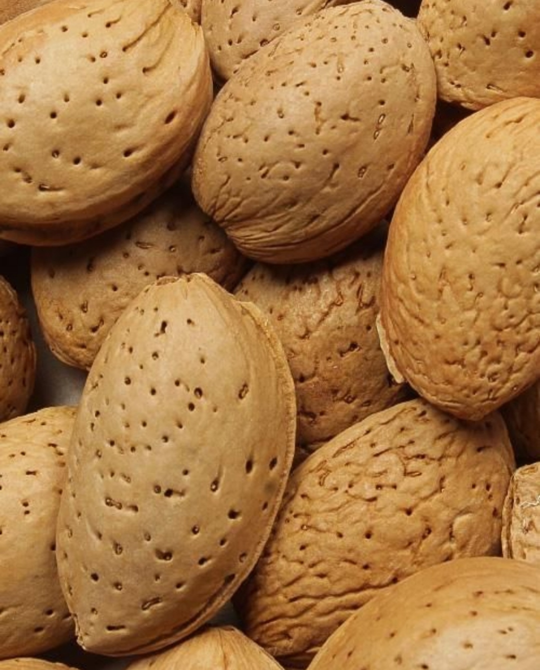 بادام و گردو درجه یک 