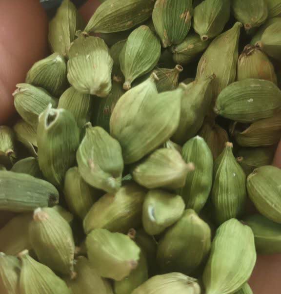زردچوبه اعلا