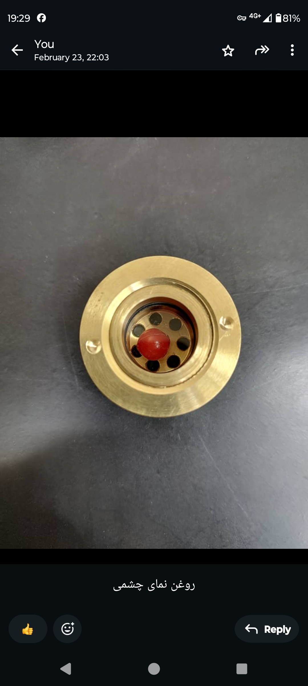 Oil level indicatore gage