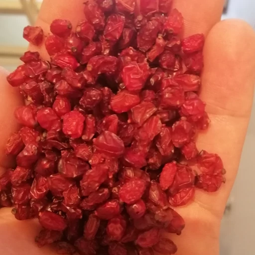 عبوة كيلو جرام من البرباريس الممتاز
