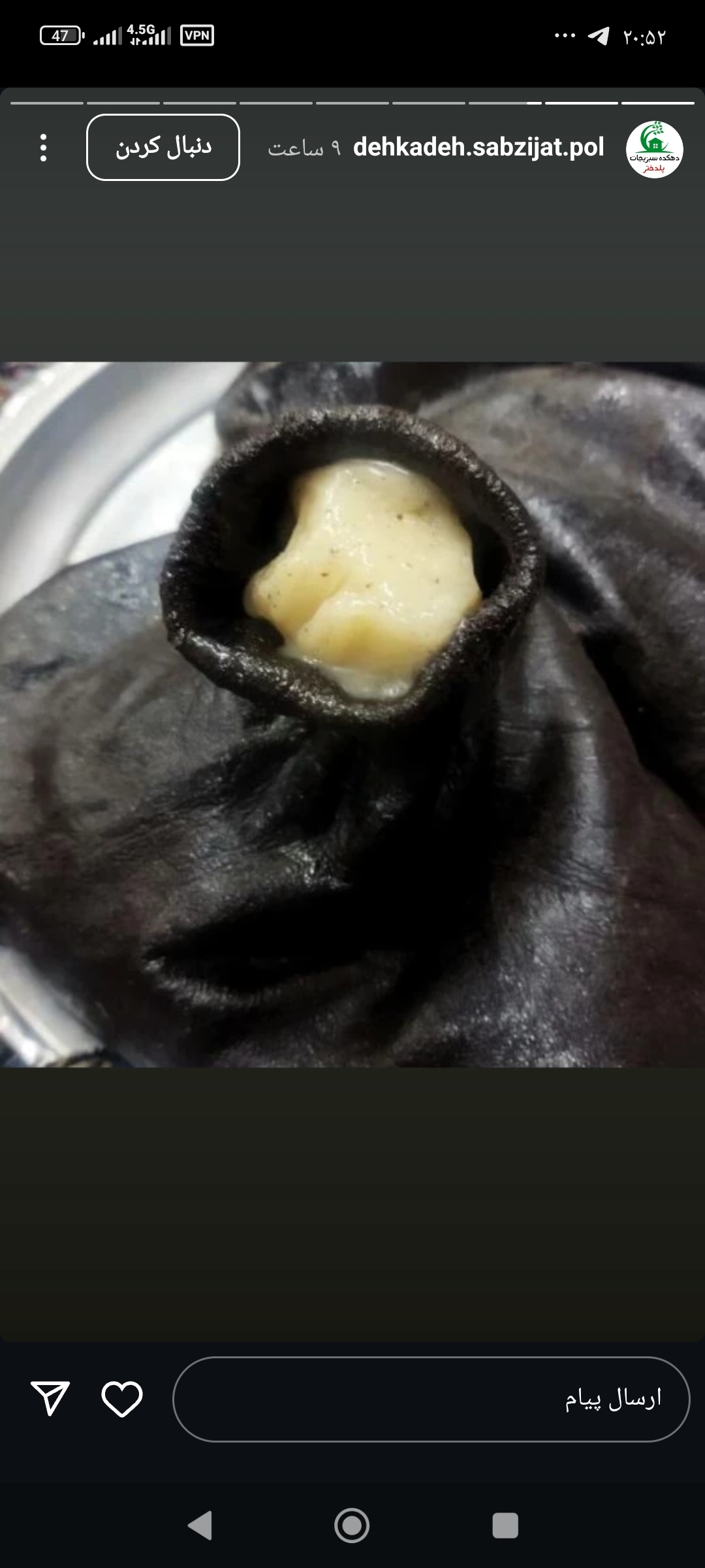 تبلیغ محصولات خونگی و ارگانیک