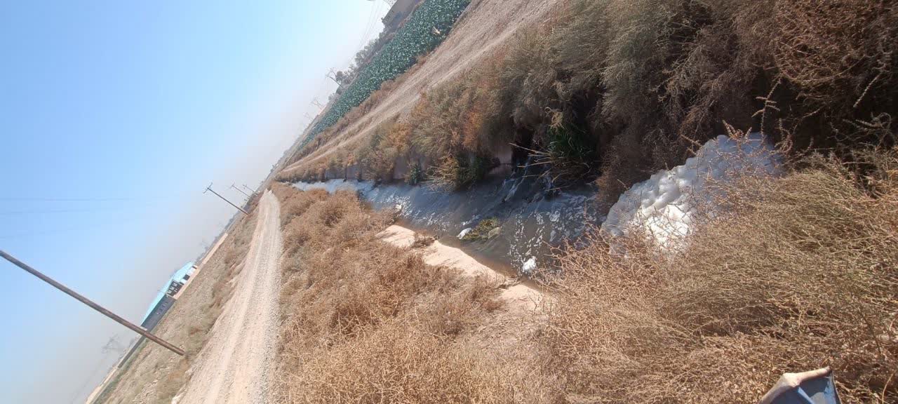 زمین کشاورزی 