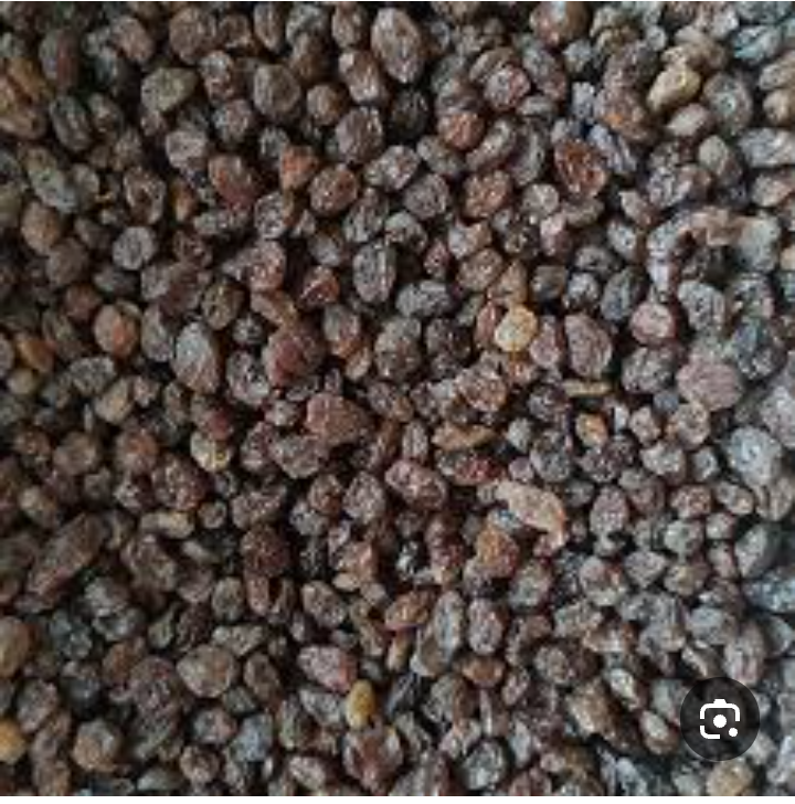 کشمش ارگانیک افتابی