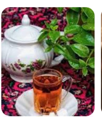 چایی بهاره شمال