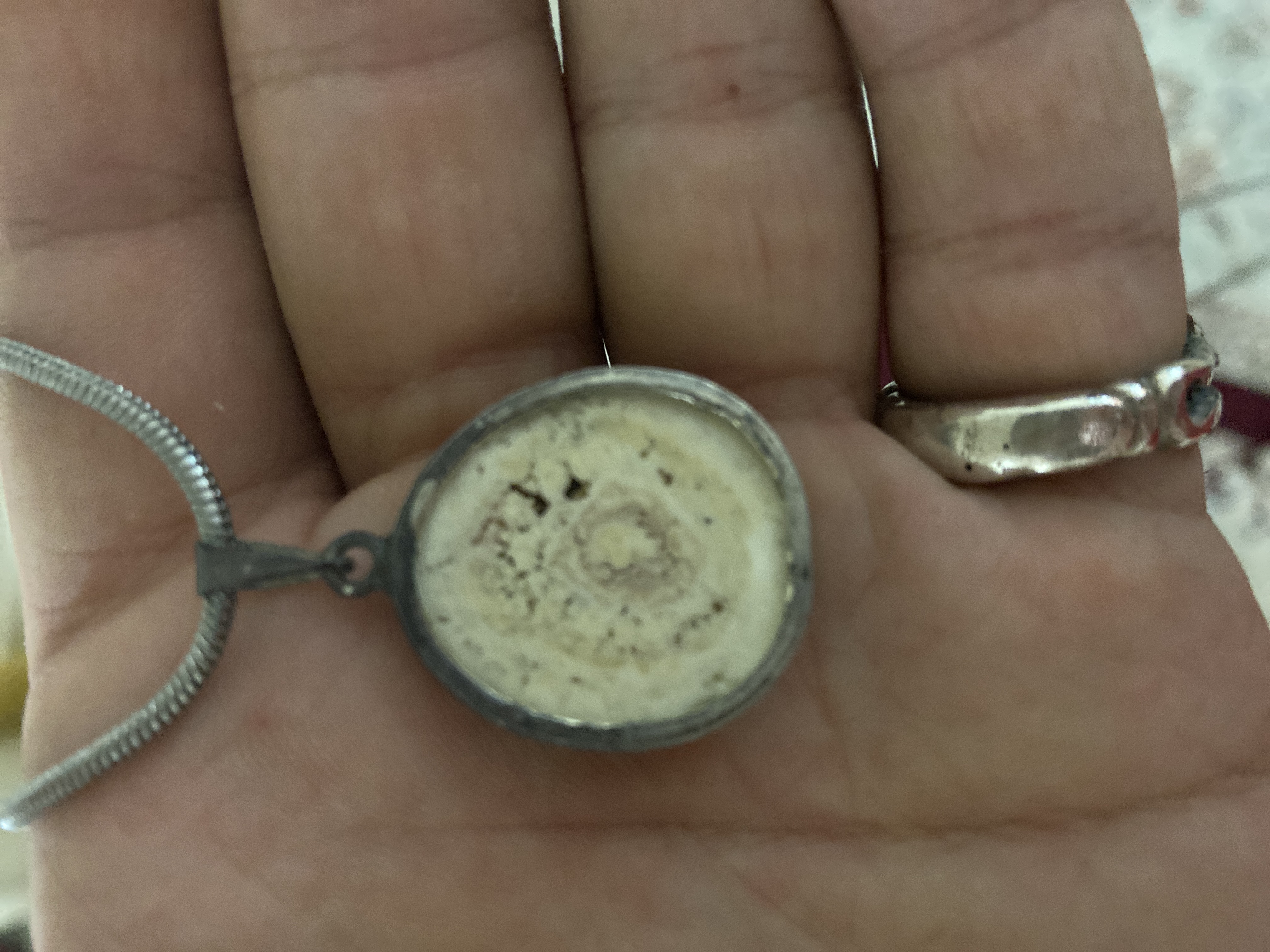 گلاب ناب کاشان