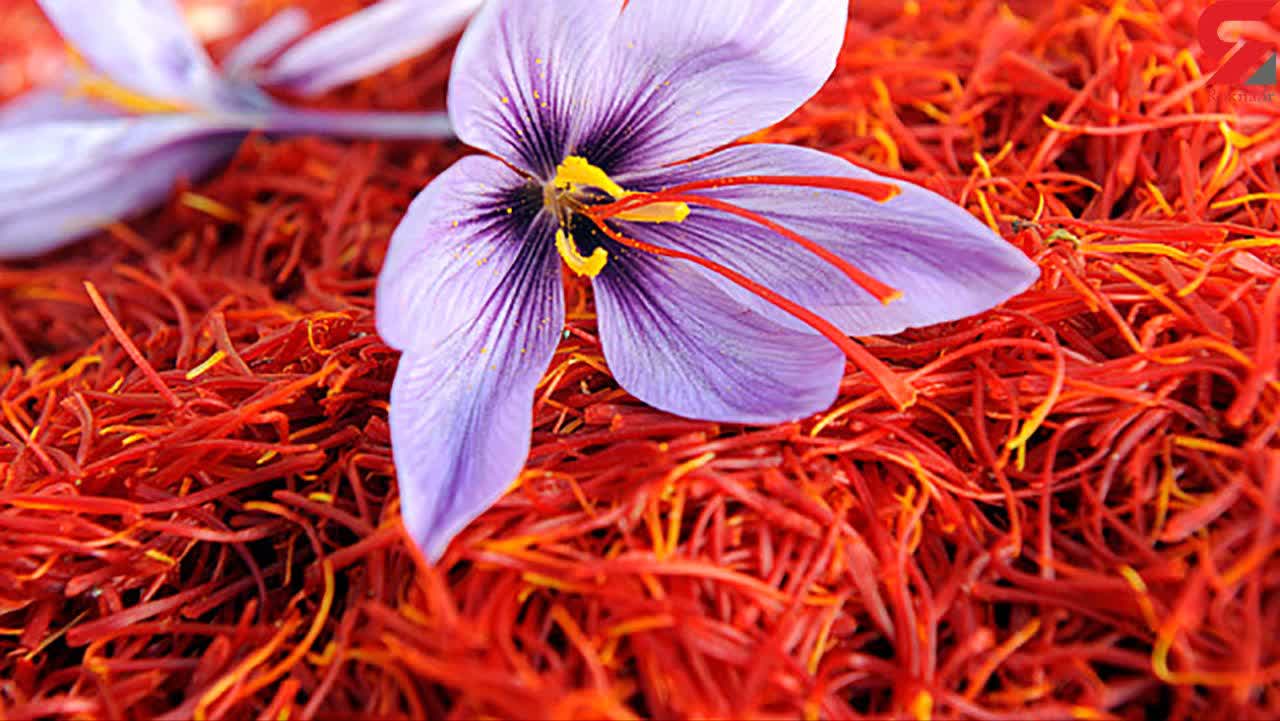 زعفران * شادی *