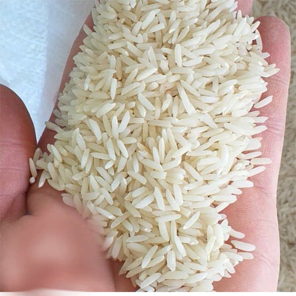 فروش برنج