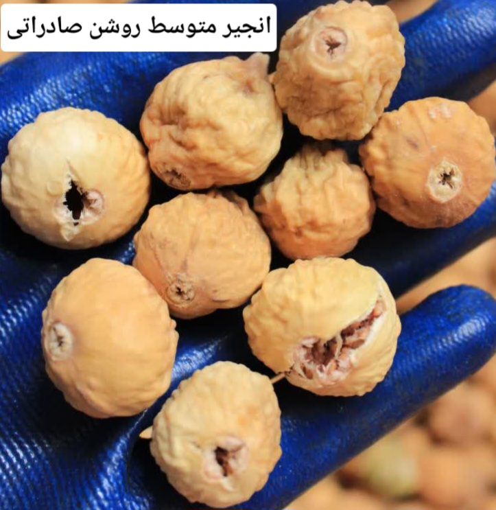 انجیر استهبان
