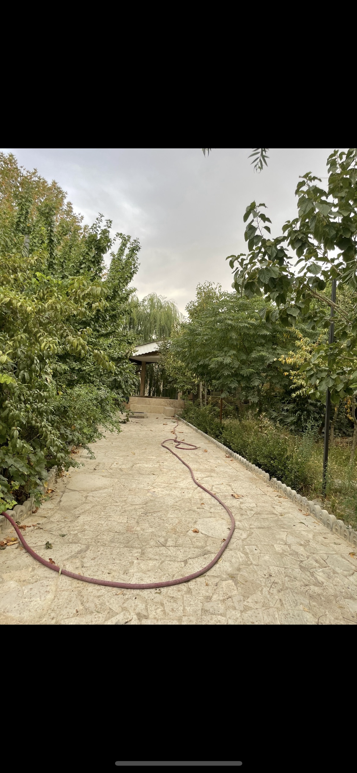 ويلاي ٥٠٠متري مشهدداخل مجتمع