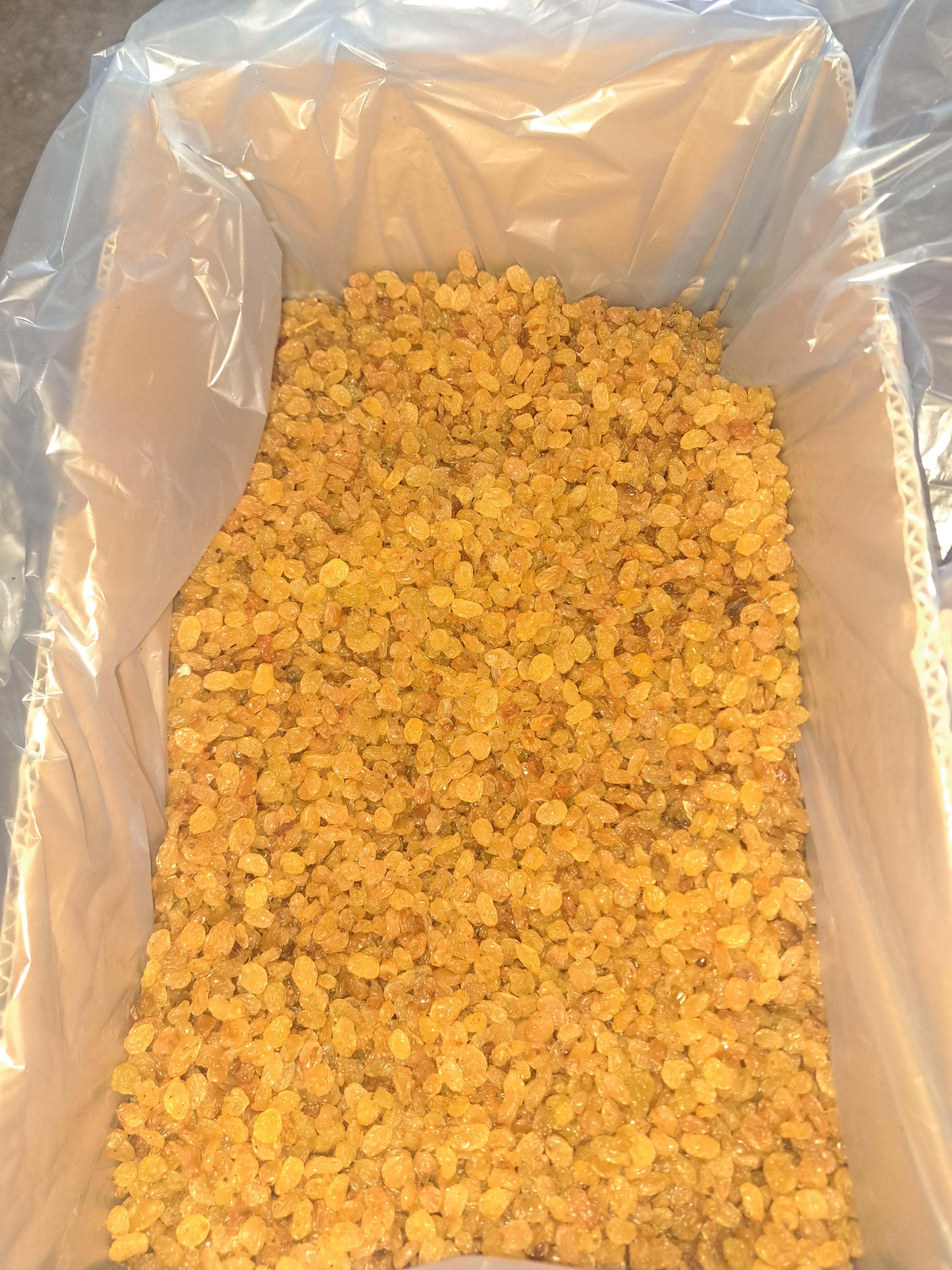 کشمش طلایی(گلدن) صادراتی