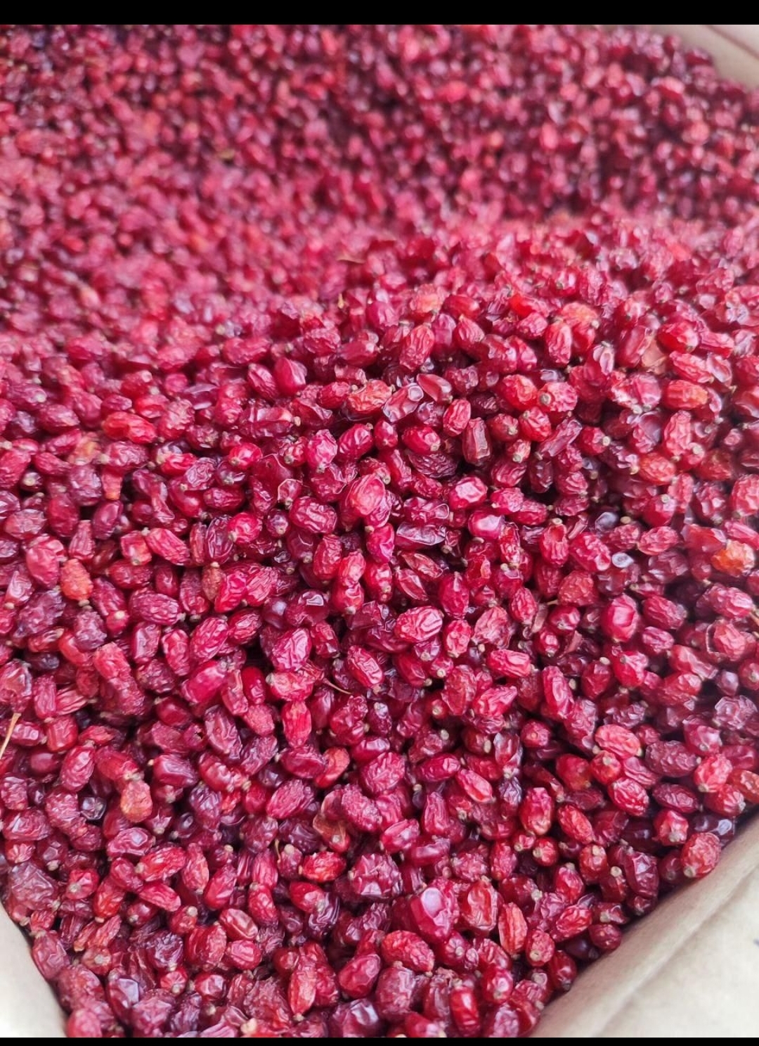 زعفران اصل