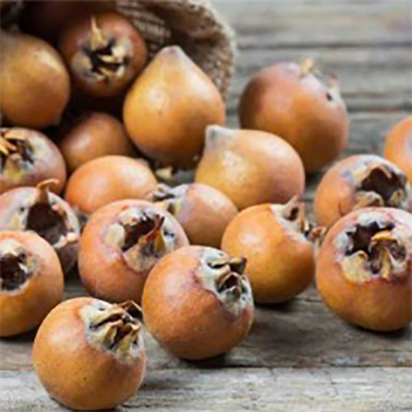 رب ازگیل جنگلی 