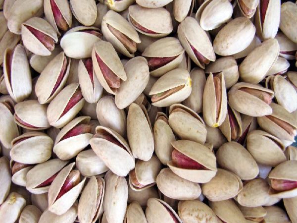 پسته صادراتی و انواع مغز پسته