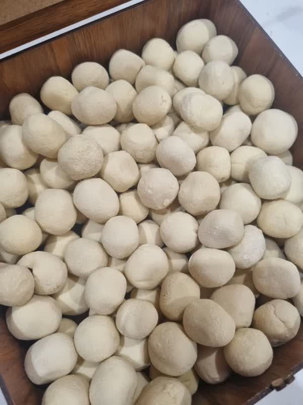 کشک  بز نژاد مورسیا