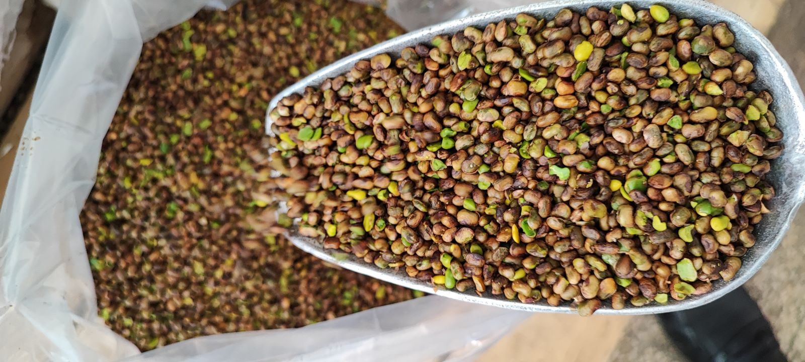 دانه‌های روغنی وادیه جات 