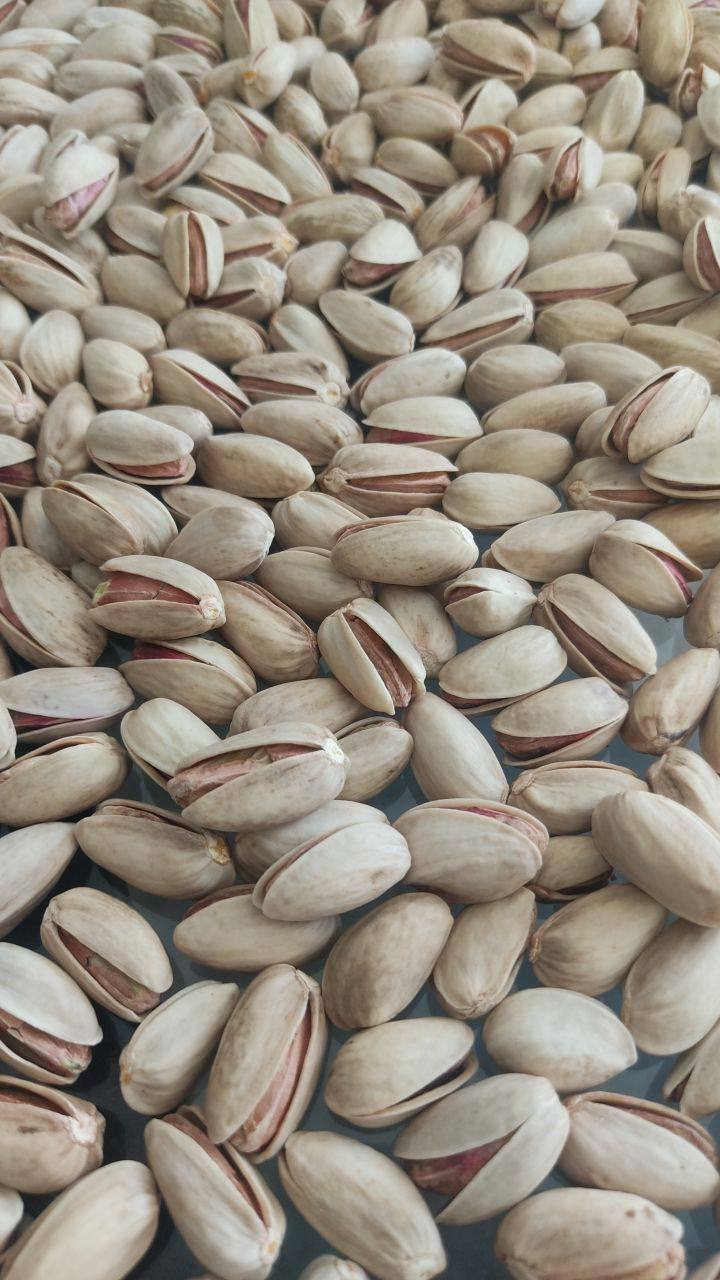 فروش پسته اکبری