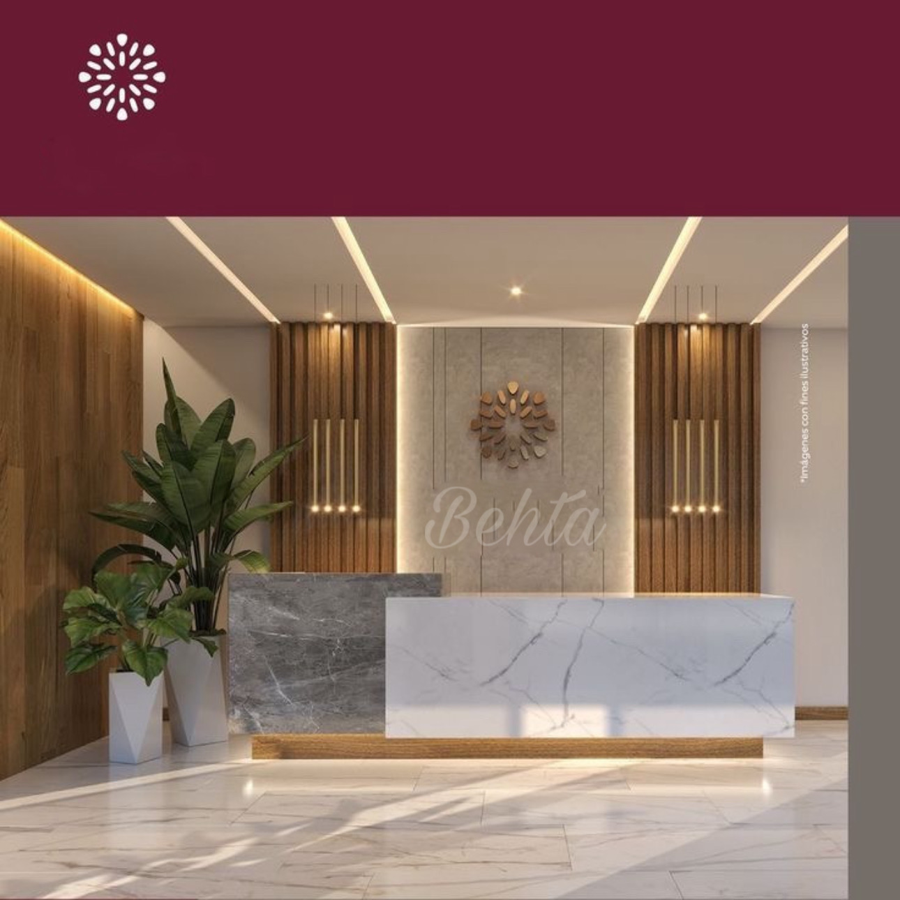 کاشت مو و ابرو