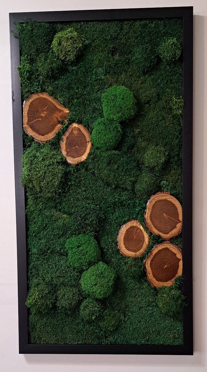تابلو خزه ای