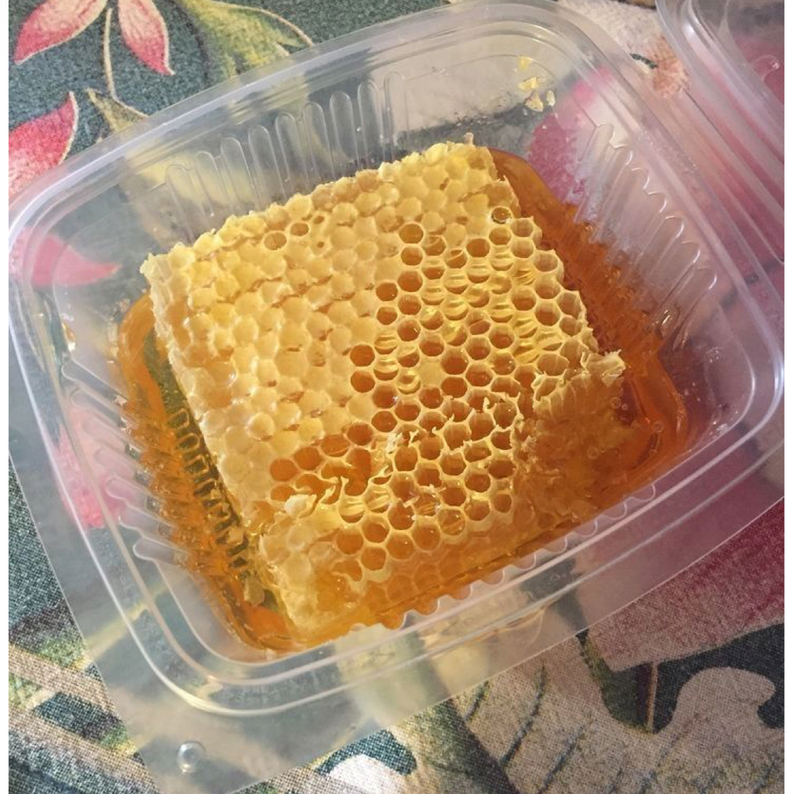 عسل وحشی
